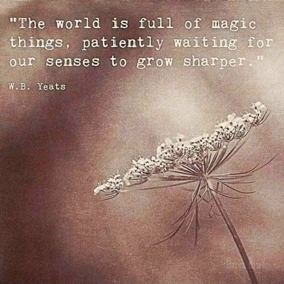 100% Natural Fiber and Natural Dye Clothing, Great for Sensitive Skin! - Picture 1 of 1